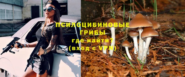 мяу мяу мука Армянск
