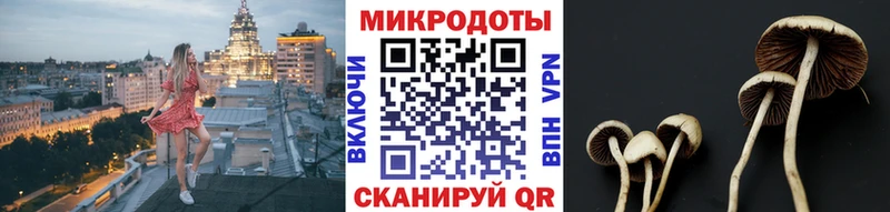 Псилоцибиновые грибы MAGIC MUSHROOMS  Купить где  Нея 